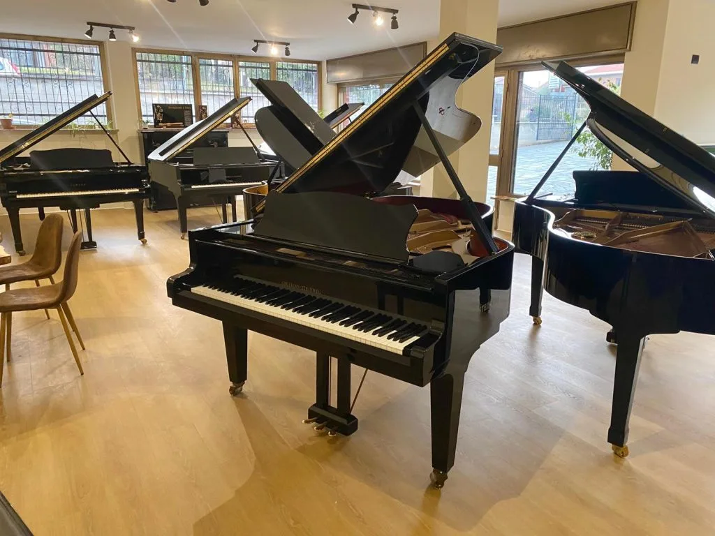 Grotrian-Steinweg · G-208