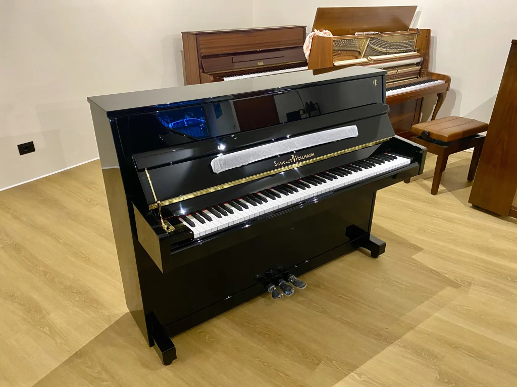 Schulze Pollmann · S110